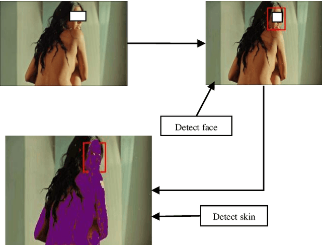 Figure 1 for A Novel Nudity Detection Algorithm for Web and Mobile Application Development