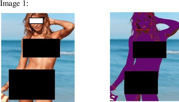 Figure 2 for A Novel Nudity Detection Algorithm for Web and Mobile Application Development