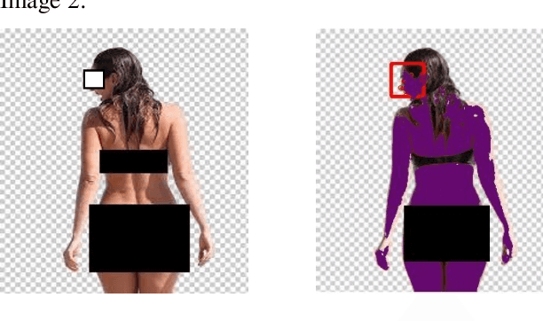 Figure 3 for A Novel Nudity Detection Algorithm for Web and Mobile Application Development