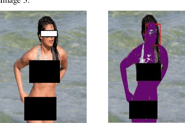 Figure 4 for A Novel Nudity Detection Algorithm for Web and Mobile Application Development