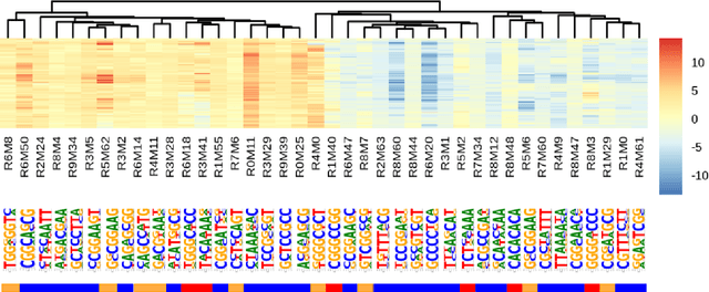Figure 4 for Neural network facilitated ab initio derivation of linear formula: A case study on formulating the relationship between DNA motifs and gene expression