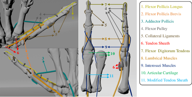 Figure 4 for Towards Complex and Continuous Manipulation: A Gesture Based Anthropomorphic Robotic Hand Design