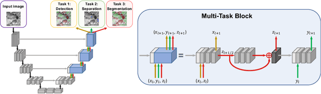 Figure 3 for A multi-task U-net for segmentation with lazy labels