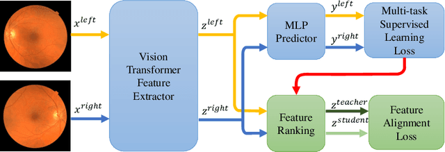 Figure 1 for Camera Adaptation for Fundus-Image-Based CVD Risk Estimation