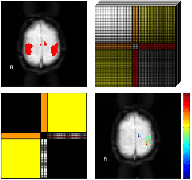 Figure 3 for A Framework for Exploring Non-Linear Functional Connectivity and Causality in the Human Brain: Mutual Connectivity Analysis (MCA) of Resting-State Functional MRI with Convergent Cross-Mapping and Non-Metric Clustering