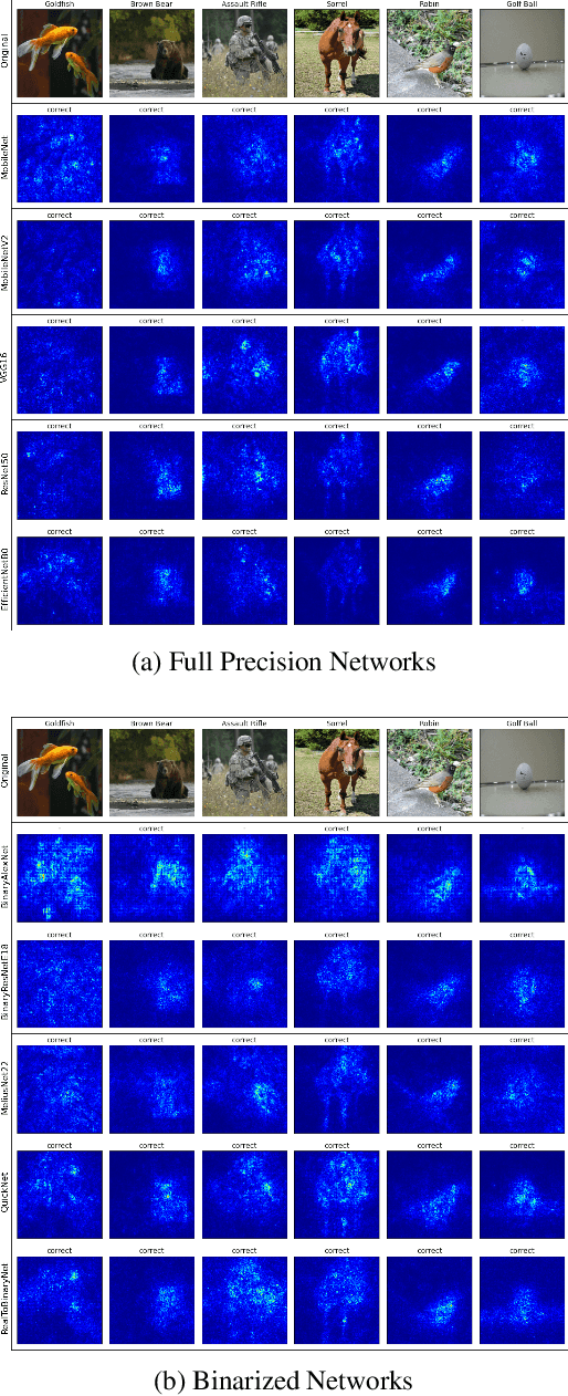 Figure 1 for Gradient-Based Interpretability Methods and Binarized Neural Networks