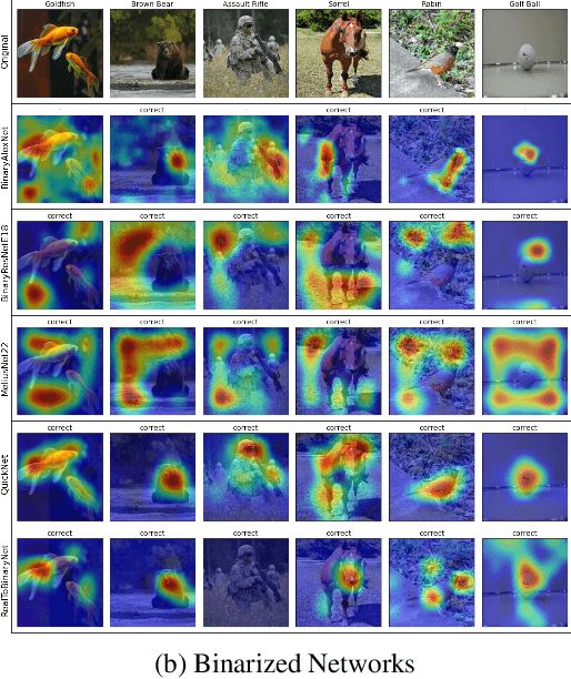 Figure 3 for Gradient-Based Interpretability Methods and Binarized Neural Networks
