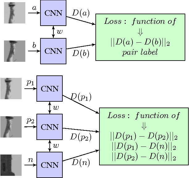 Figure 1 for PN-Net: Conjoined Triple Deep Network for Learning Local Image Descriptors