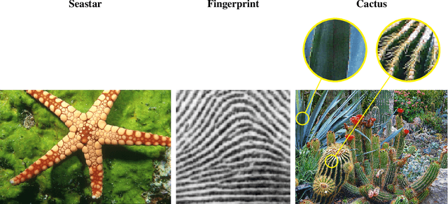 Figure 2 for Self-Assignment Flows for Unsupervised Data Labeling on Graphs