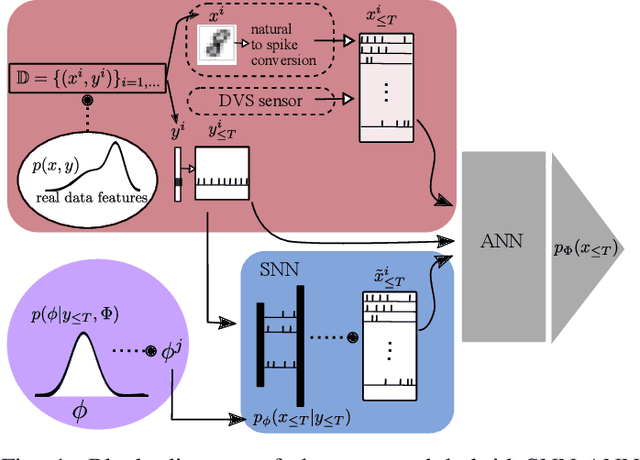 Figure 1 for Spiking Generative Adversarial Networks With a Neural Network Discriminator: Local Training, Bayesian Models, and Continual Meta-Learning
