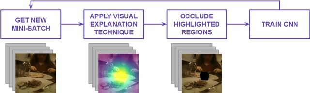 Figure 1 for Playing to distraction: towards a robust training of CNN classifiers through visual explanation techniques