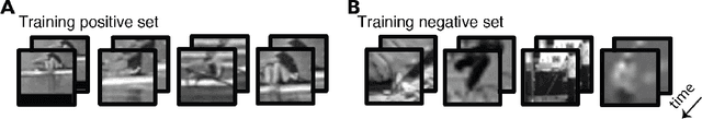 Figure 2 for What can human minimal videos tell us about dynamic recognition models?