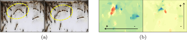 Figure 4 for Beyond Tracking: Using Deep Learning to Discover Novel Interactions in Biological Swarms