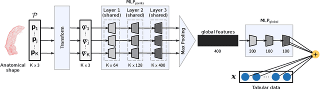 Figure 1 for A Wide and Deep Neural Network for Survival Analysis from Anatomical Shape and Tabular Clinical Data
