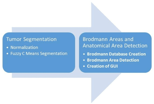 Figure 1 for Automated Tumor Segmentation and Brain Mapping for the Tumor Area