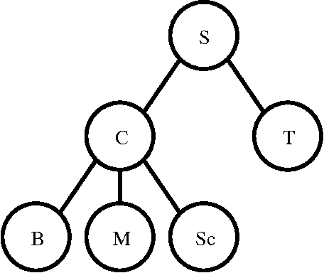 Figure 1 for A Continuous Max-Flow Approach to General Hierarchical Multi-Labeling Problems