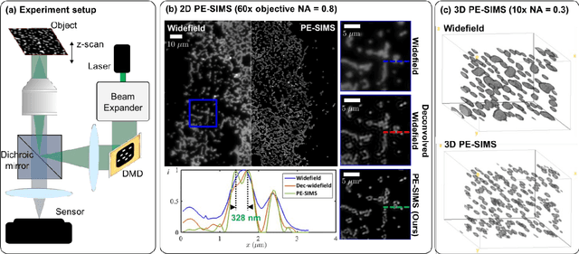 Figure 1 for Structured illumination microscopy with unknown patterns and a statistical prior