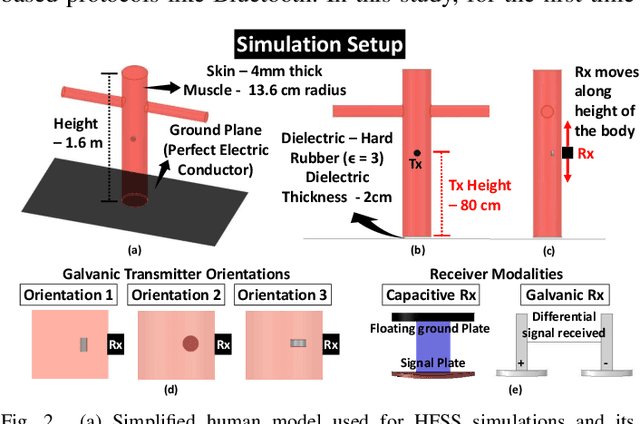 Figure 2 for Channel Modeling for Physically Secure Electro-Quasistatic In-Body to Out-of-Body Communication with Galvanic Tx and Multimodal Rx