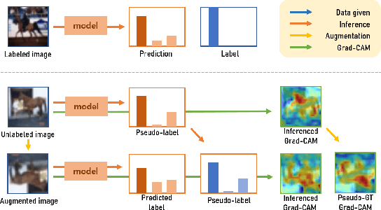 Figure 1 for Semi-supervised Image Classification with Grad-CAM Consistency