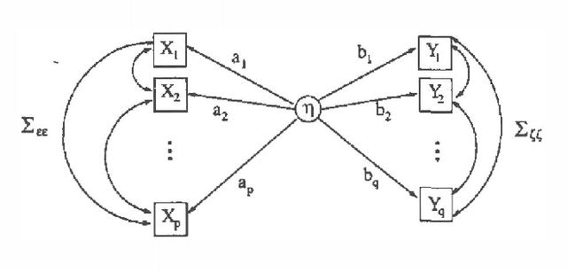 Figure 2 for Cross-covariance modelling via DAGs with hidden variables