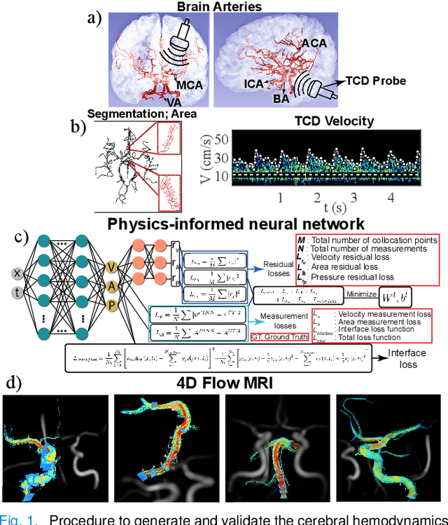 Figure 1 for Physics-informed neural networks for improving cerebral hemodynamics predictions