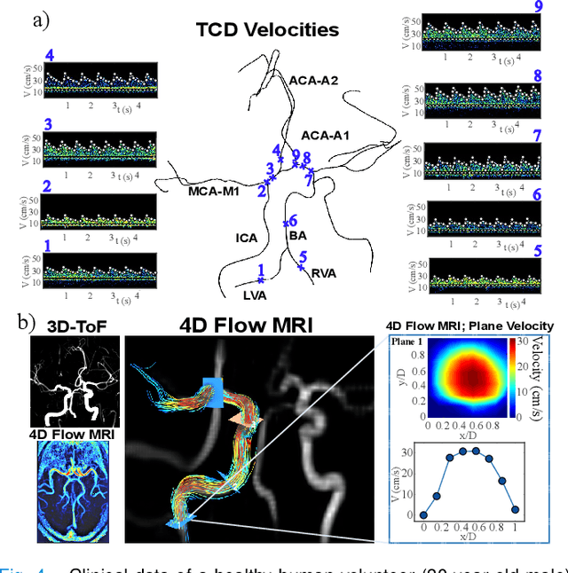 Figure 4 for Physics-informed neural networks for improving cerebral hemodynamics predictions