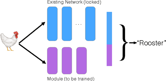 Figure 1 for Beyond Fine Tuning: A Modular Approach to Learning on Small Data