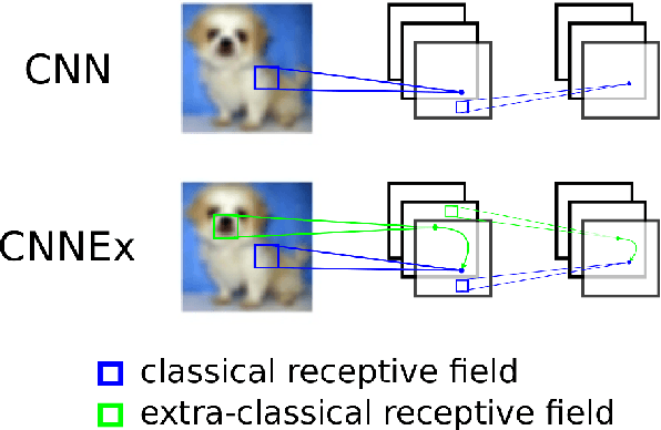Figure 1 for Convolutional neural networks with extra-classical receptive fields