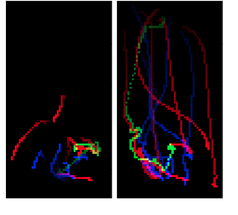 Figure 3 for Predicting Shot Making in Basketball Learnt from Adversarial Multiagent Trajectories
