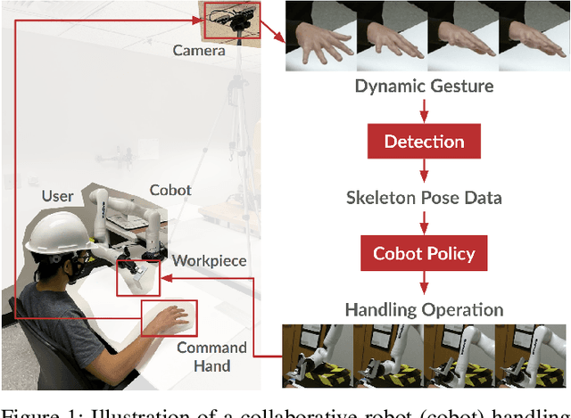 Figure 1 for Learn from Human Teams: a Probabilistic Solution to Real-Time Collaborative Robot Handling with Dynamic Gesture Commands