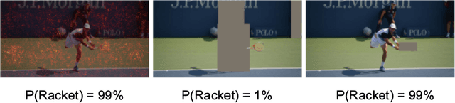 Figure 3 for Finding and Fixing Spurious Patterns with Explanations