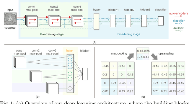 Figure 2 for A Novel Deep Learning Architecture for Testis Histology Image Classification