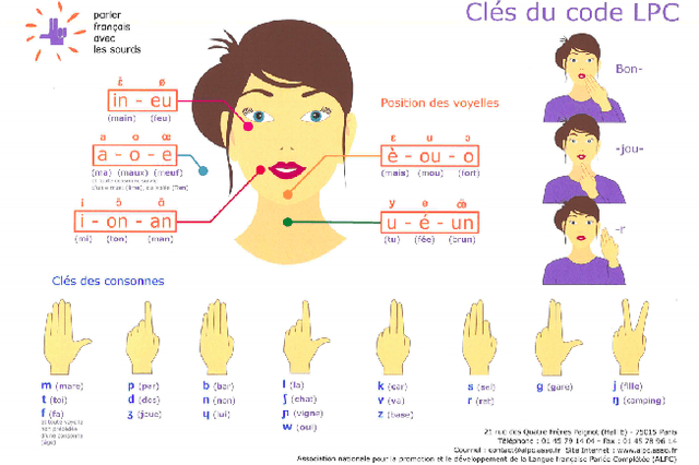 Figure 1 for Multistream neural architectures for cued-speech recognition using a pre-trained visual feature extractor and constrained CTC decoding