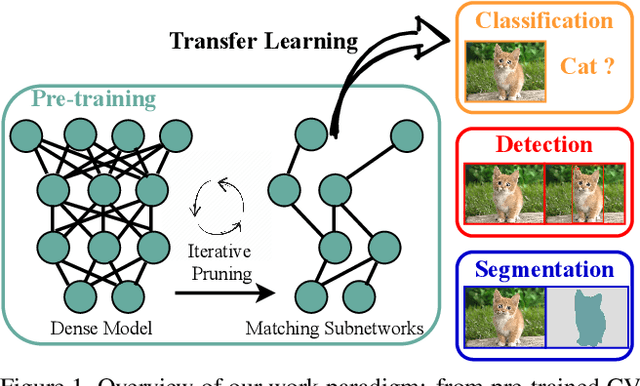 Figure 1 for The Lottery Tickets Hypothesis for Supervised and Self-supervised Pre-training in Computer Vision Models