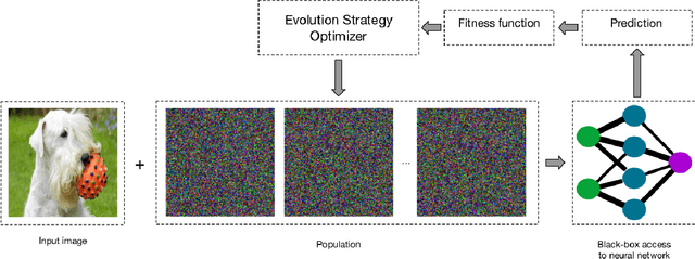 Figure 1 for Black-box adversarial attacks using Evolution Strategies