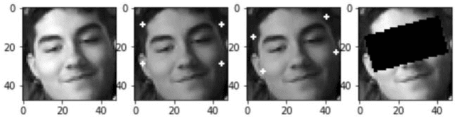 Figure 1 for Facial Expression Recognition Under Partial Occlusion from Virtual Reality Headsets based on Transfer Learning