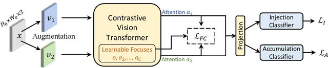 Figure 1 for Online Continual Learning with Contrastive Vision Transformer