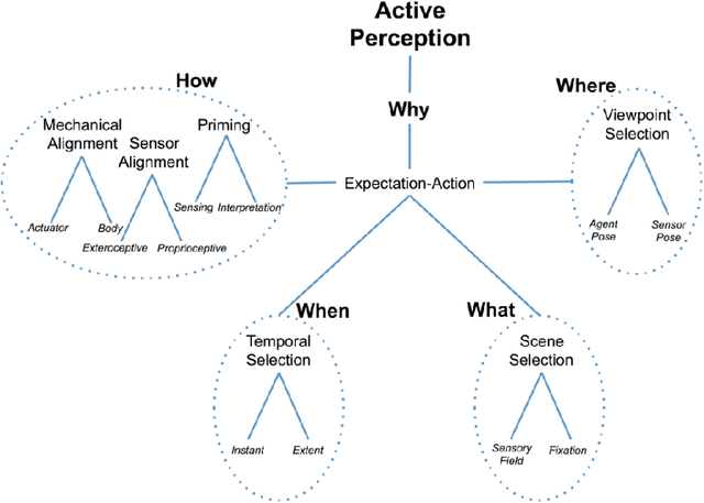 Figure 1 for Active Perception with Neural Networks