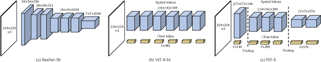 Figure 1 for Rethinking Spatial Dimensions of Vision Transformers