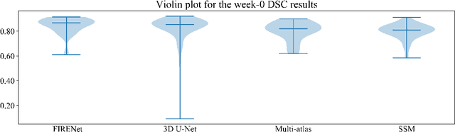 Figure 3 for Fabric Image Representation Encoding Networks for Large-scale 3D Medical Image Analysis