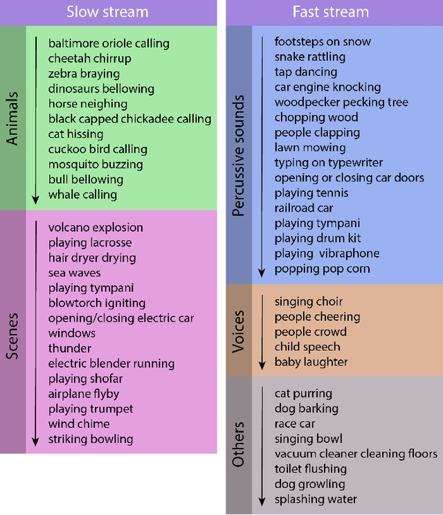 Figure 4 for Slow-Fast Auditory Streams For Audio Recognition