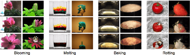 Figure 2 for Learning Temporal Transformations From Time-Lapse Videos