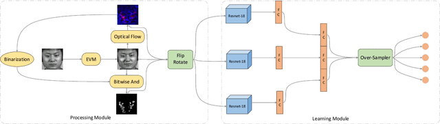 Figure 1 for A Multi-stream Convolutional Neural Network for Micro-expression Recognition Using Optical Flow and EVM