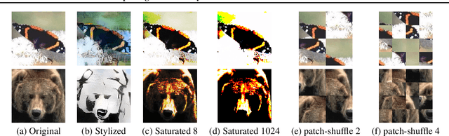 Figure 1 for Interpreting Adversarially Trained Convolutional Neural Networks