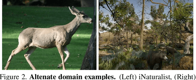 Figure 1 for The iWildCam 2019 Challenge Dataset