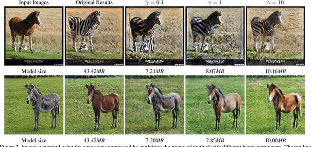 Figure 3 for Co-Evolutionary Compression for Unpaired Image Translation