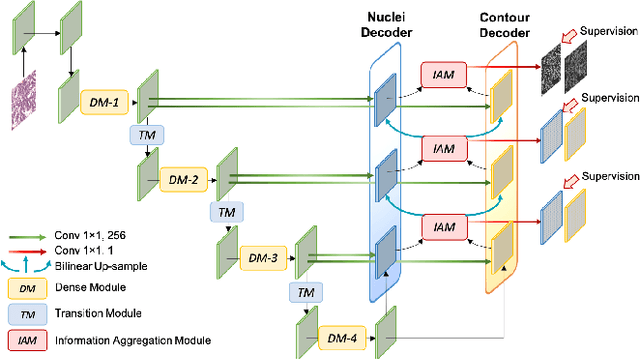 Figure 1 for CIA-Net: Robust Nuclei Instance Segmentation with Contour-aware Information Aggregation