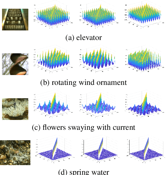 Figure 3 for Similarity-DT: Kernel Similarity Embedding for Dynamic Texture Synthesis