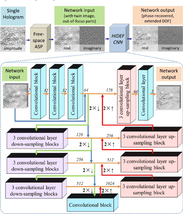 Figure 1 for Extended depth-of-field in holographic image reconstruction using deep learning based auto-focusing and phase-recovery