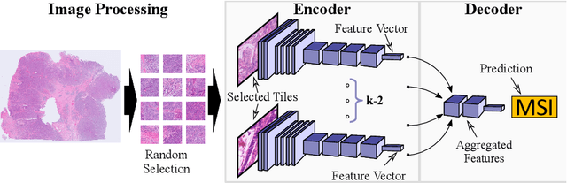 Figure 3 for End-to-end Learning for Image-based Detection of Molecular Alterations in Digital Pathology